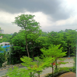 Blk 18B Buona Vista Court (Queenstown), HDB 3 Rooms #540101431